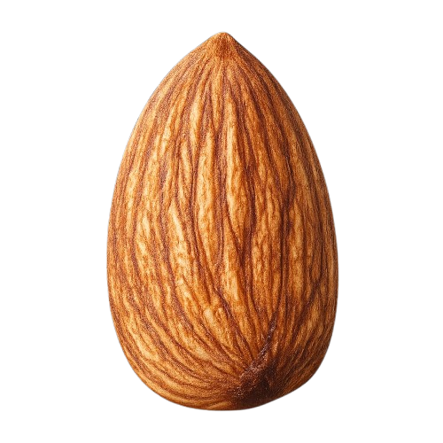 whatsapp image 2026 01 19 at 7.42.41 pm removebg preview