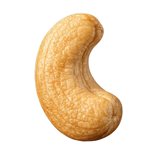 whatsapp image 2026 01 19 at 7.42.55 pm removebg preview