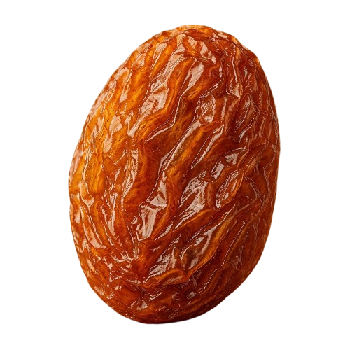 whatsapp image 2026 01 19 at 8.49.00 pm removebg preview