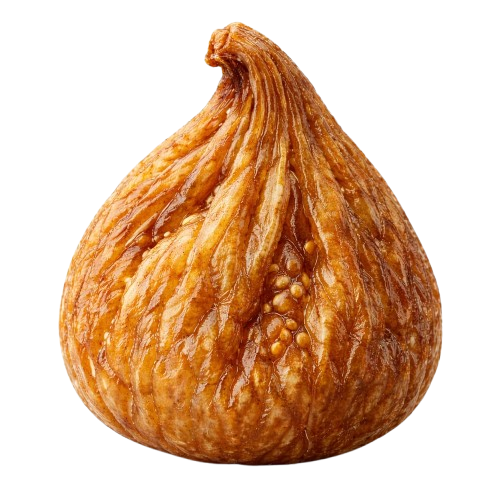 whatsapp image 2026 01 19 at 9.30.25 pm removebg preview